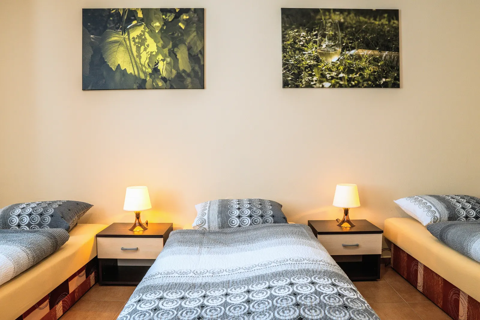 Ložnice Apartmánu: jednolůžkové postele u zdí, mezi nimi noční stolky s lampičkami, na stěně fotoobrazy z vinohradu